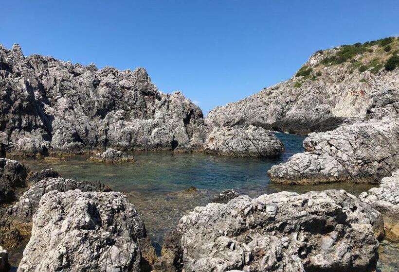 B&b Verdemare Camerota