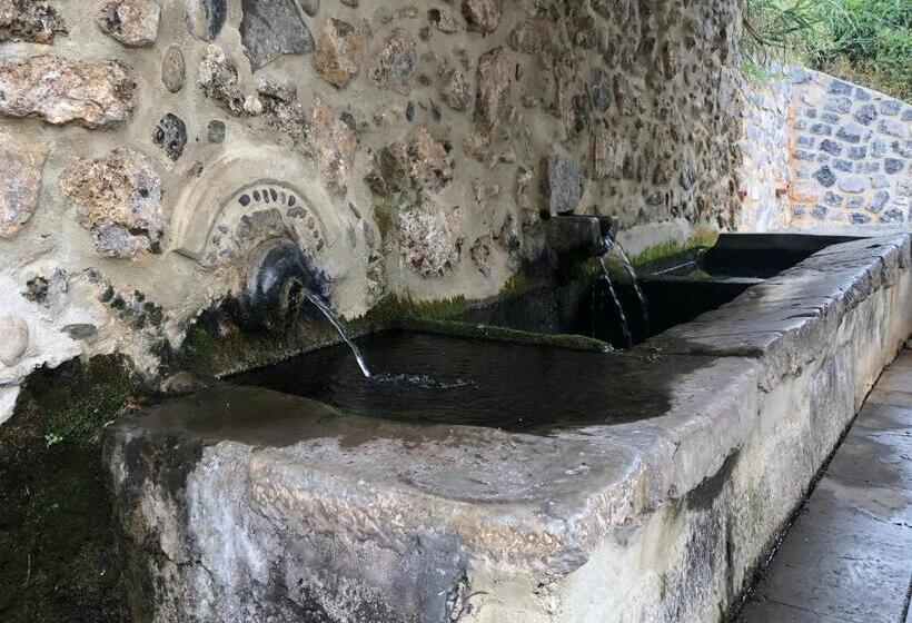 B&b Verdemare Camerota