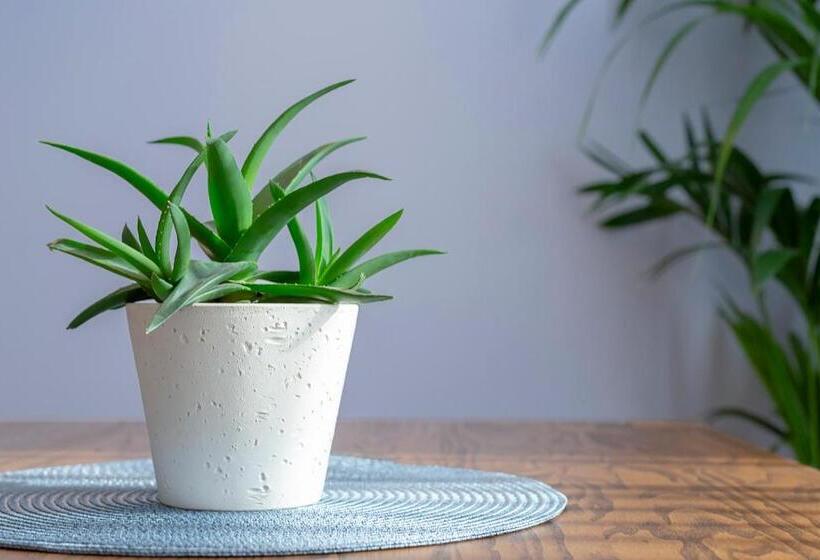 酒店 Apartua кропивницький