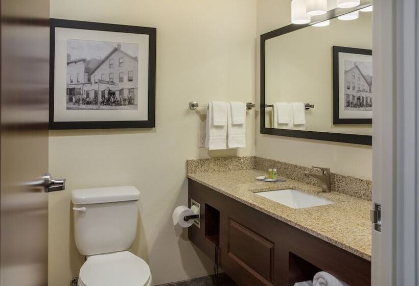 בית מלון כפרי Cobblestone Inn And Suites Ashland