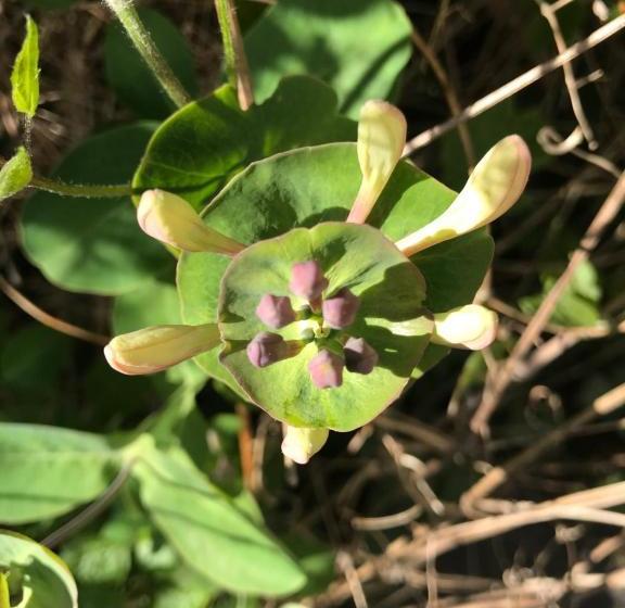 Mellby 11 Bed & Breakfast