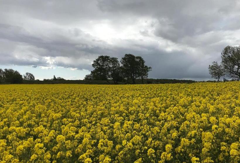 Mellby 11 Bed & Breakfast