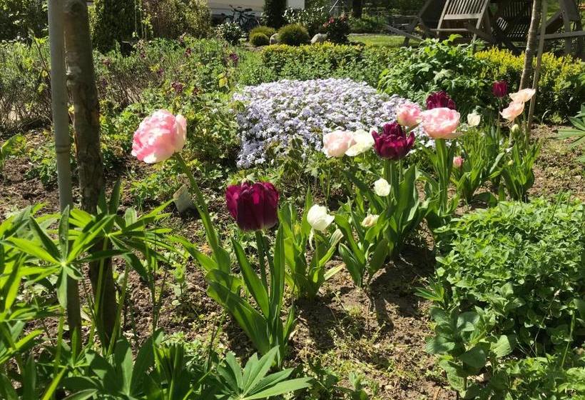 Mellby 11 Bed & Breakfast