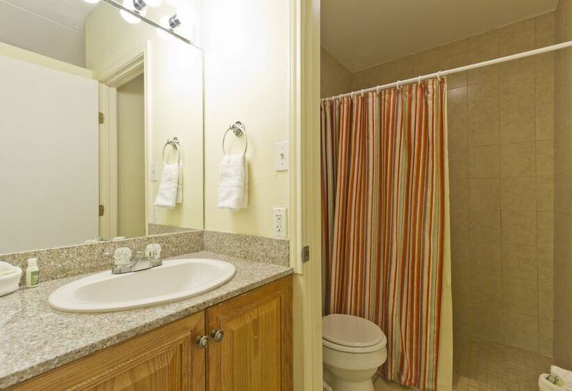 فندق على الطريق The Palms Resort