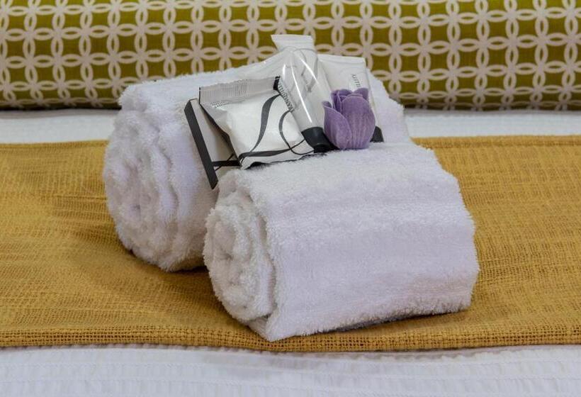 פנסיון De Witte Huis