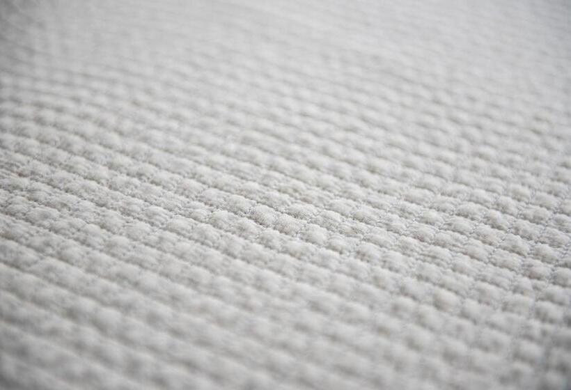 פנסיון De Witte Huis