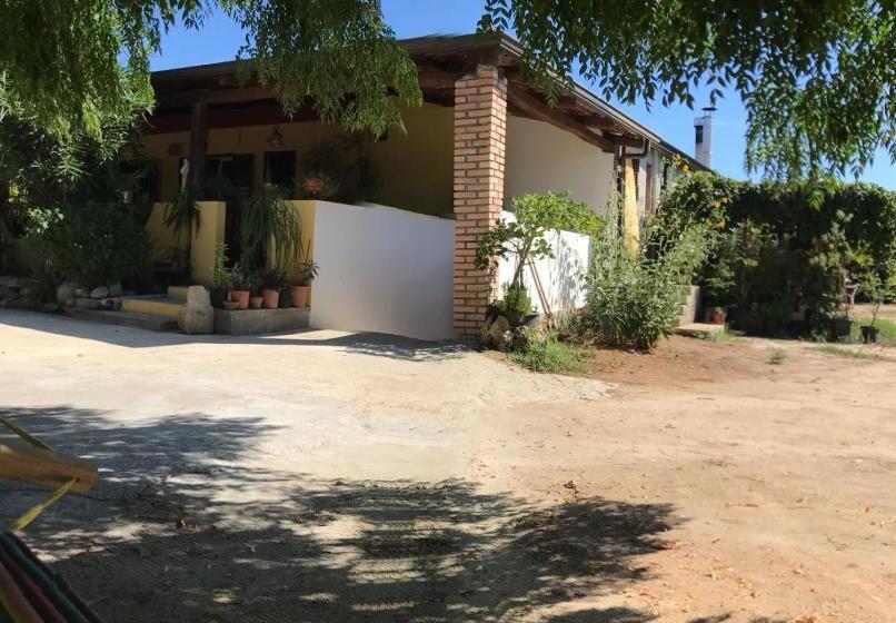 ペンション Europa Rooms And Restaurant