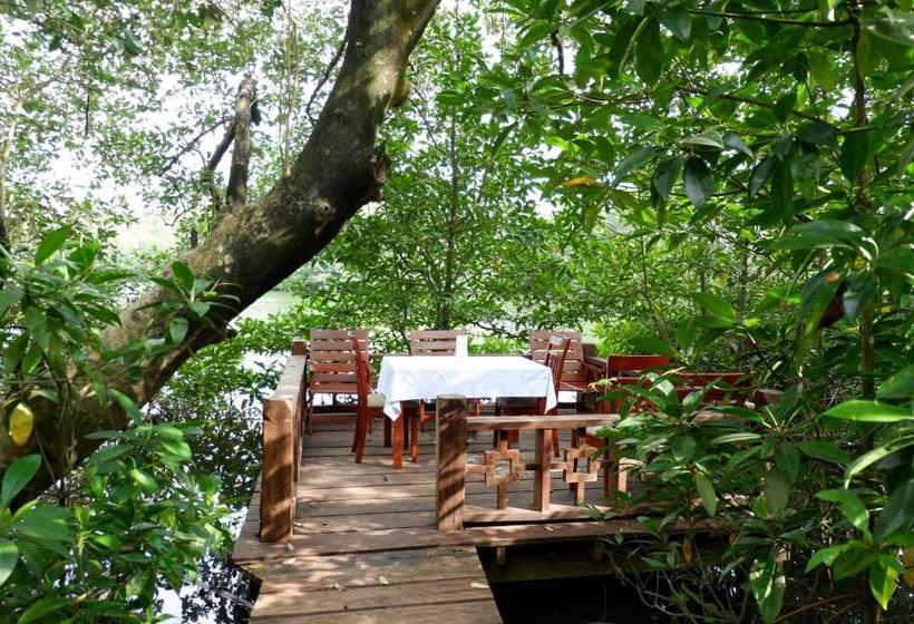 리조트 Mei Hao Deng