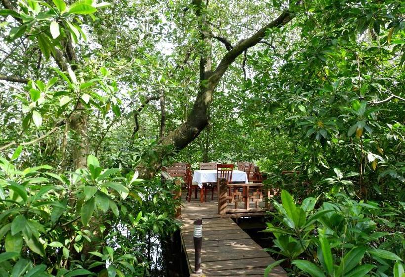 리조트 Mei Hao Deng