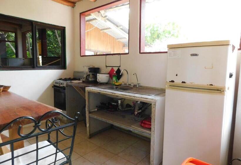 ユースホステル Chill Inn Nosara