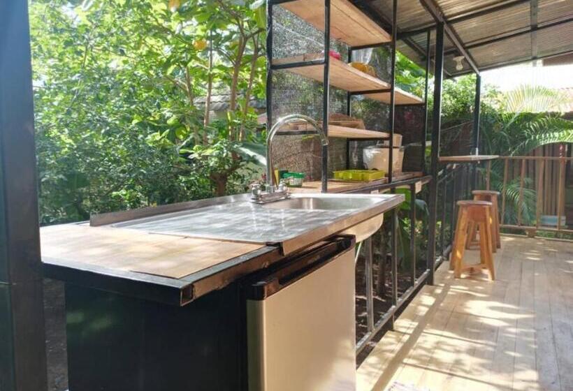 ユースホステル Chill Inn Nosara