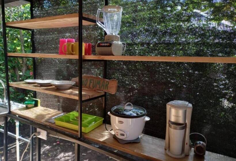 ユースホステル Chill Inn Nosara