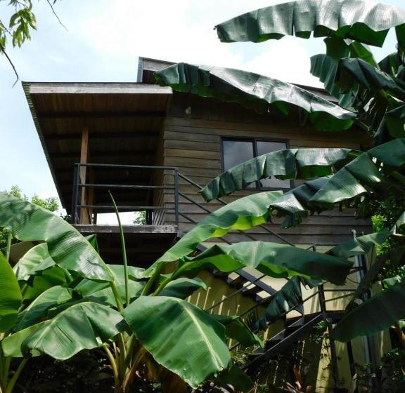 ユースホステル Chill Inn Nosara