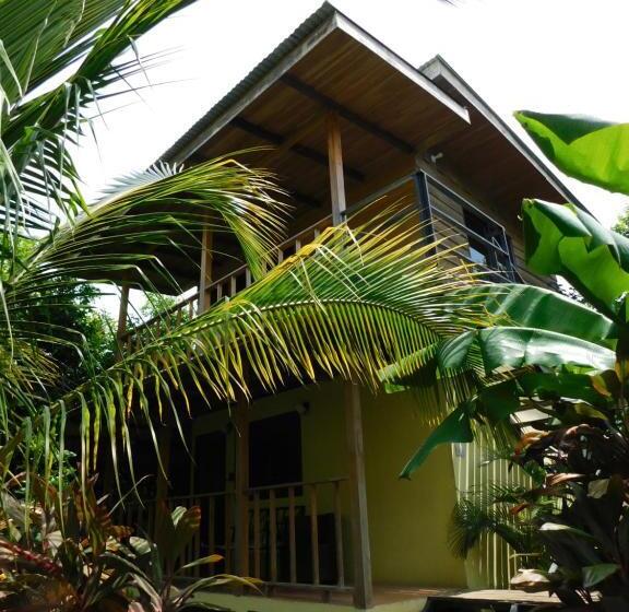 ユースホステル Chill Inn Nosara