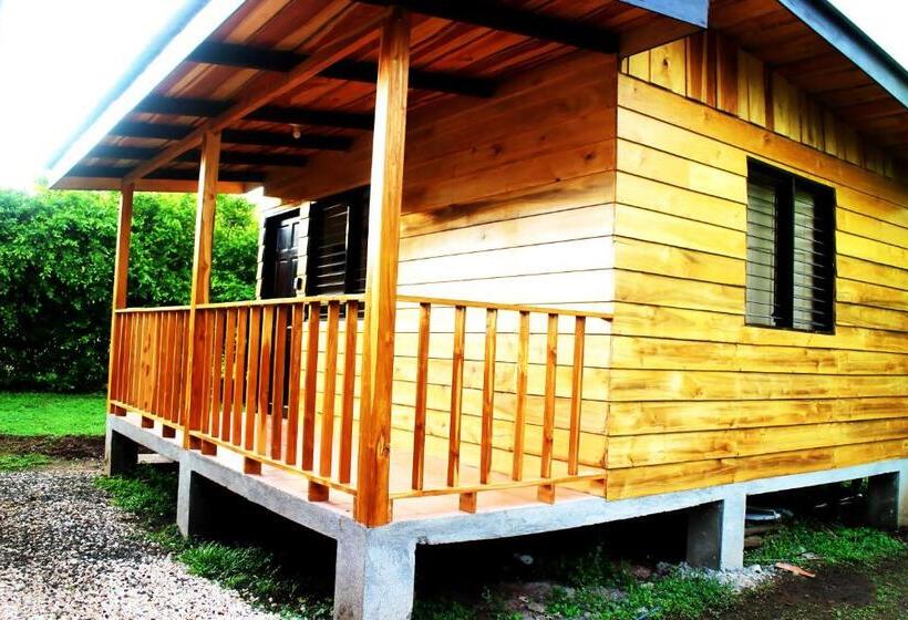 ユースホステル Chill Inn Nosara