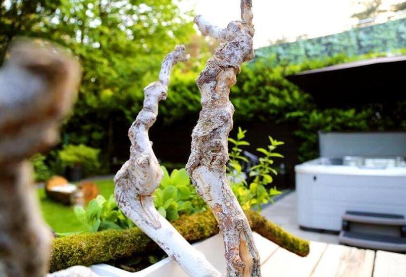 ベッドアンドブレックファースト Auxiliumwellness Get Back To Serenity