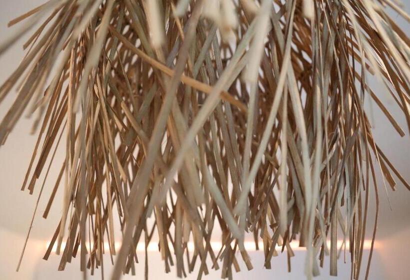 ベッドアンドブレックファースト Auxiliumwellness Get Back To Serenity