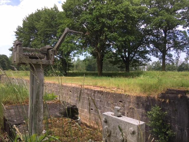 ベッドアンドブレックファースト Auxiliumwellness Get Back To Serenity