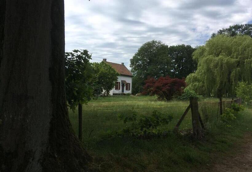 ベッドアンドブレックファースト Auxiliumwellness Get Back To Serenity