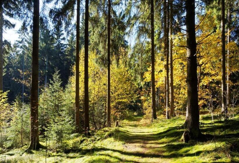 مبيت وإفطار Pension Raststüb'l