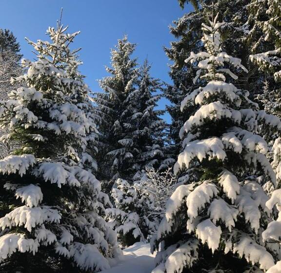 مبيت وإفطار Pension Raststüb'l