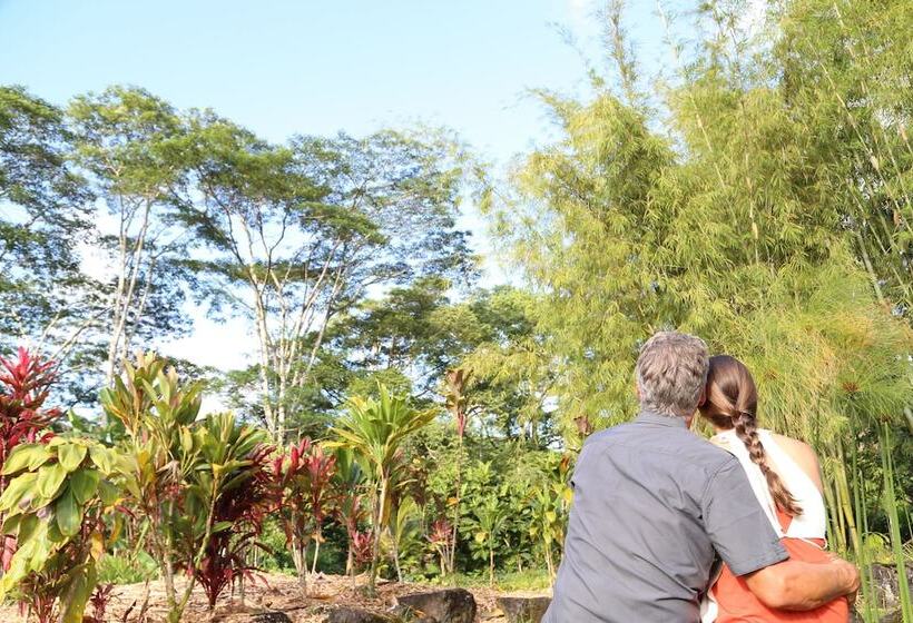 酒店 Hawaiian Sanctuary Eco Retreat Center