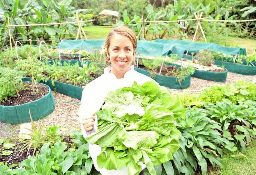 فندق Hawaiian Sanctuary Eco Retreat Center