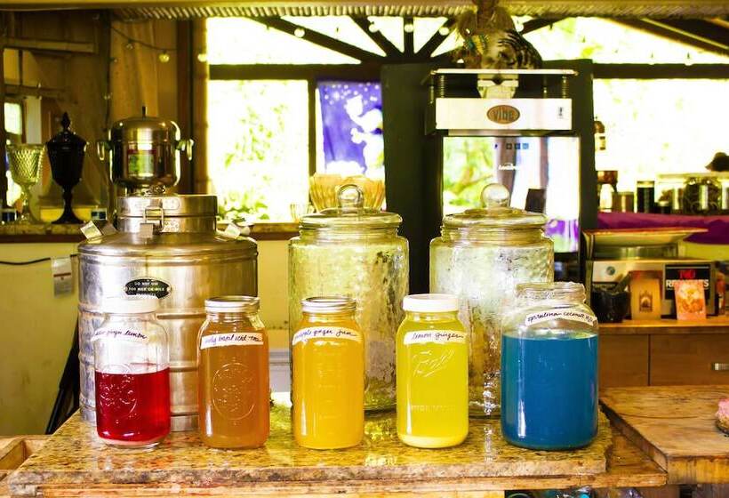 فندق Hawaiian Sanctuary Eco Retreat Center