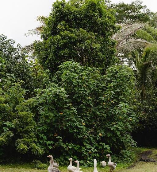 فندق Hawaiian Sanctuary Eco Retreat Center