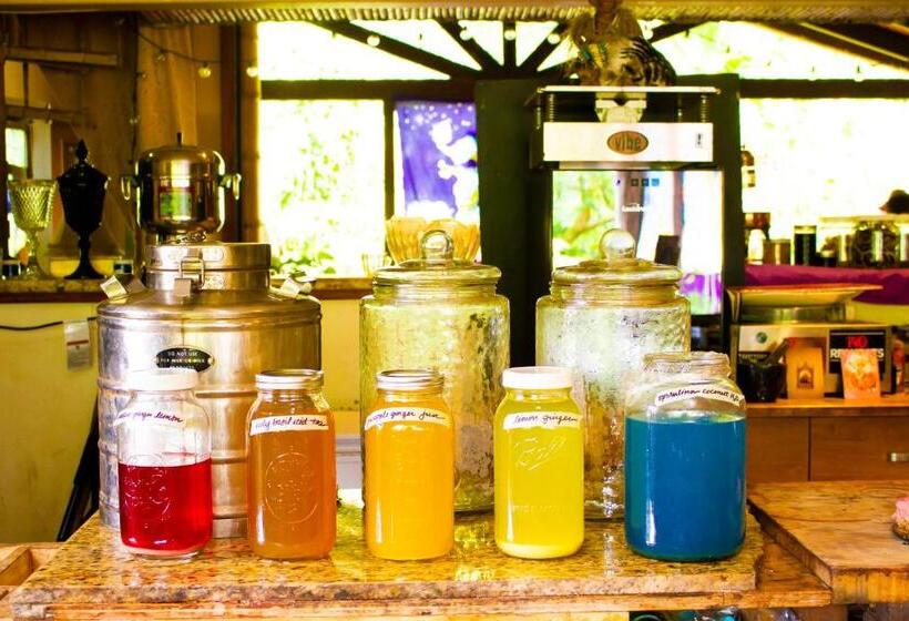 فندق Hawaiian Sanctuary Eco Retreat Center