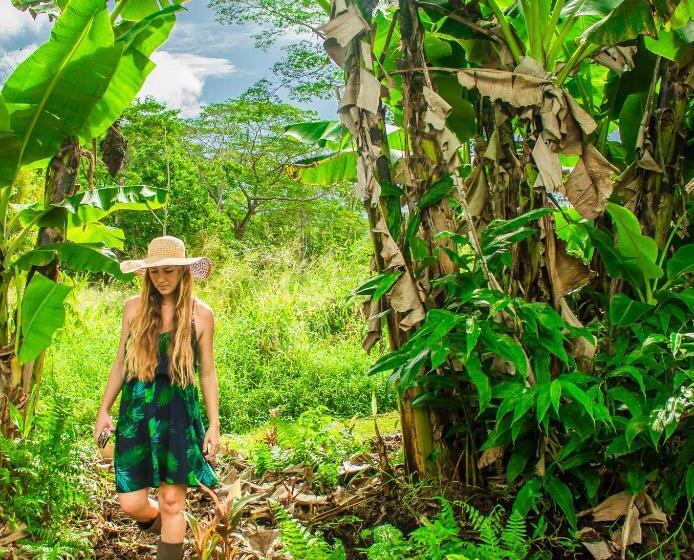 فندق Hawaiian Sanctuary Eco Retreat Center