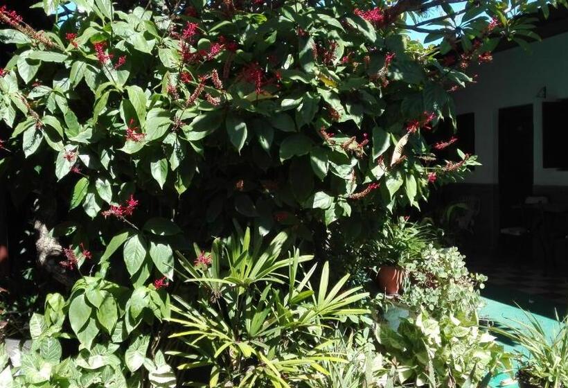 فندق Residencial Casal