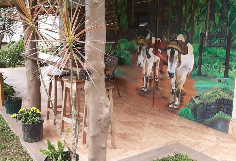 Marita S Bed And Breakfast