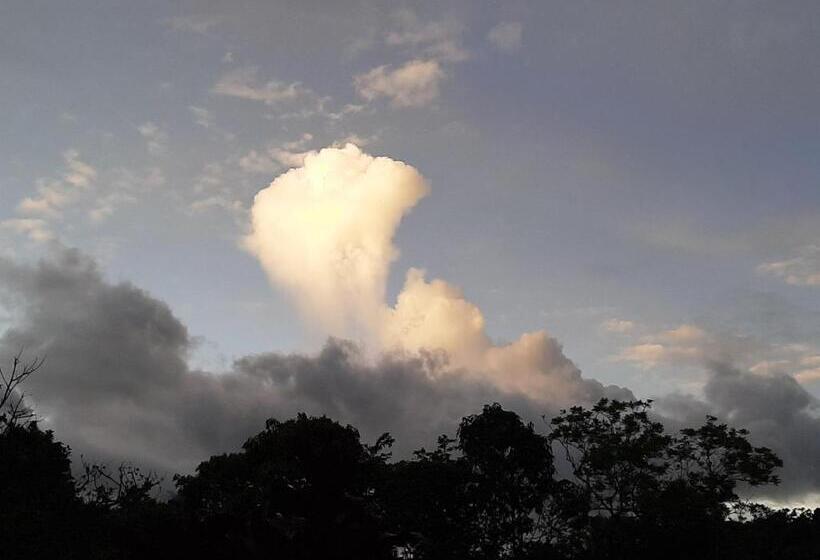 Marita S Bed And Breakfast