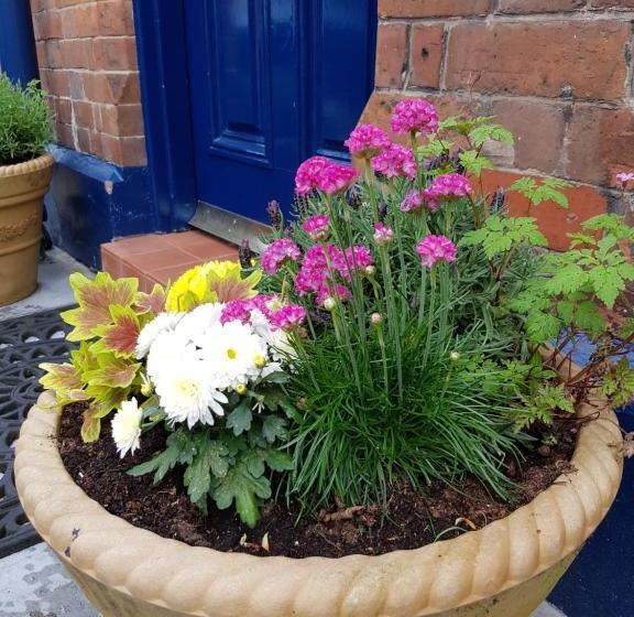 膳宿费 Alexandra Lodge Guest House