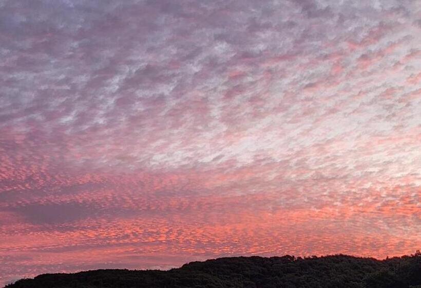 פנסיון Boutique Art Retreat