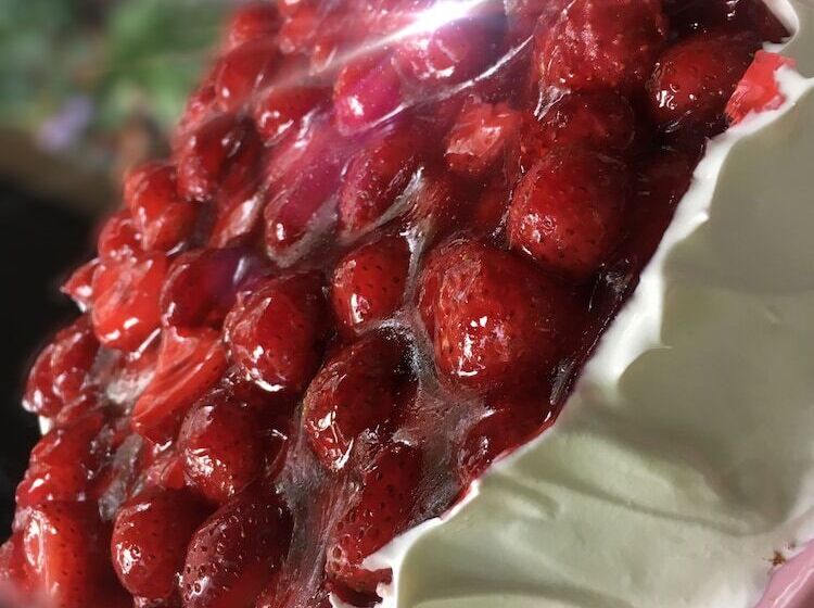 پانسیون Lilis Kleines