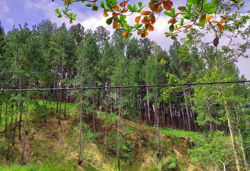 펜션 Silver Dome Guest House