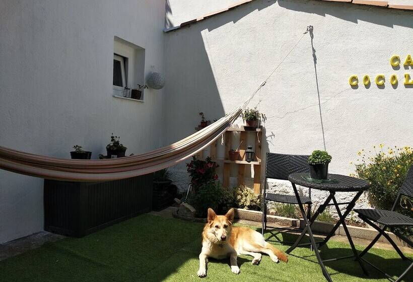 旅馆 Can Cocollona