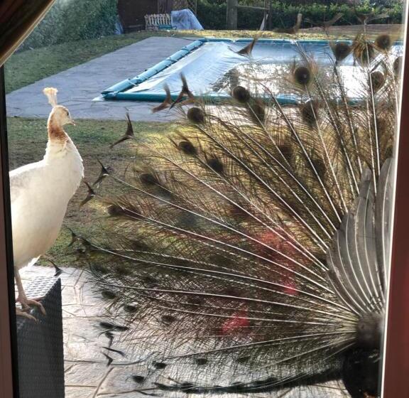 Bed and Breakfast Ai 4 Soli