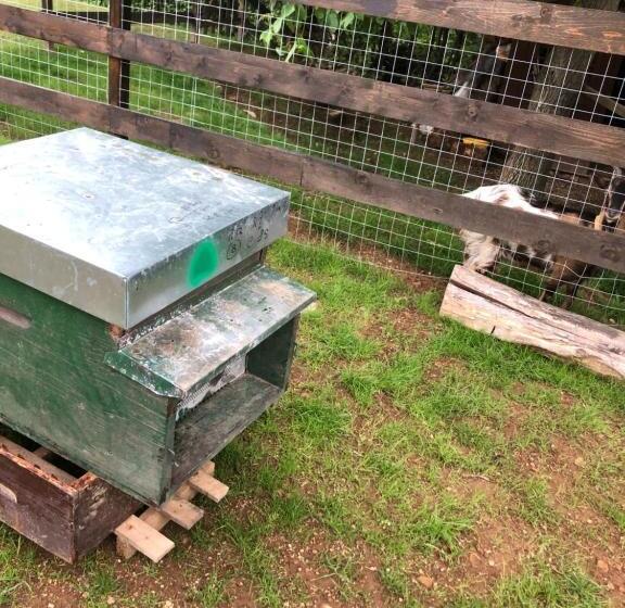 住宿加早餐  Ai 4 Soli