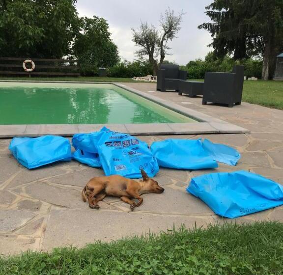 Bed and Breakfast Ai 4 Soli