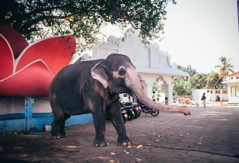 ホテル Amber House Lanka