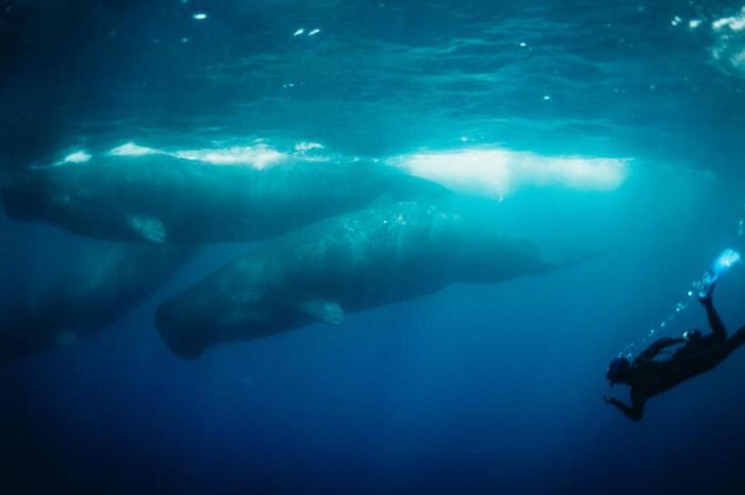 ホテル Amber House Lanka