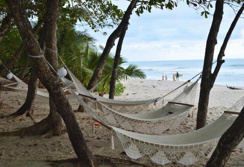 בית מלון כפרי Casa Cecilia Beach Front