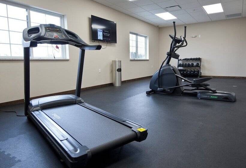 فندق Cobblestone Inn & Suites  Boone