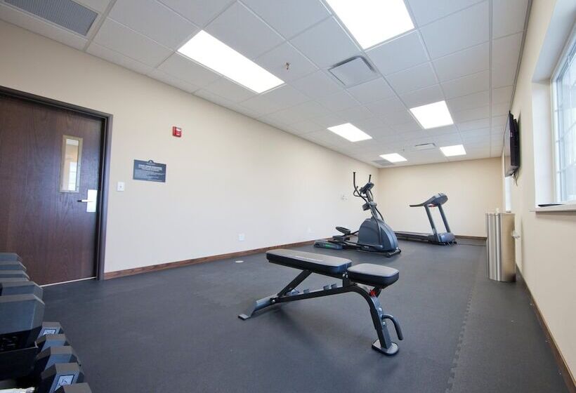 فندق Cobblestone Inn & Suites  Boone