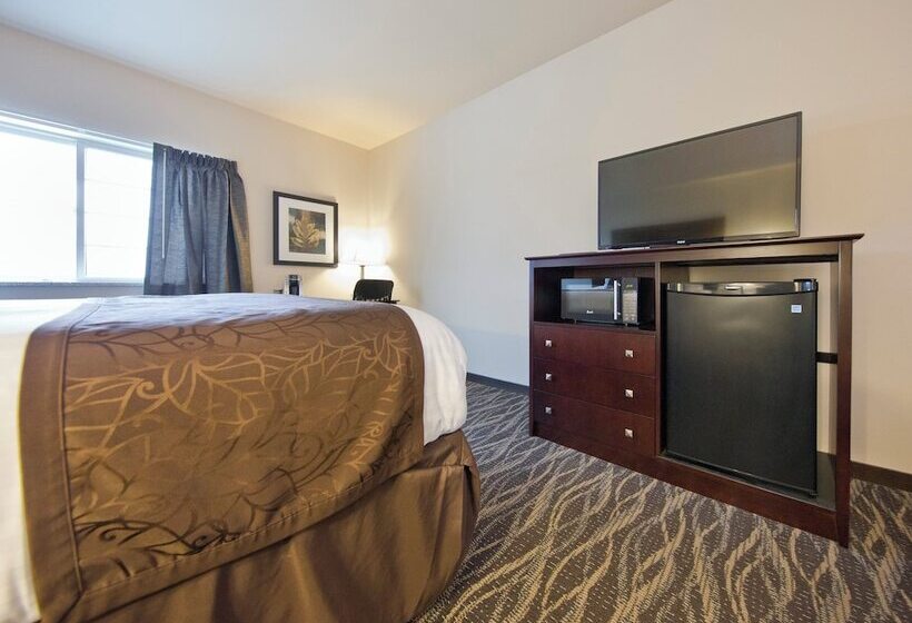 فندق Cobblestone Inn & Suites  Boone