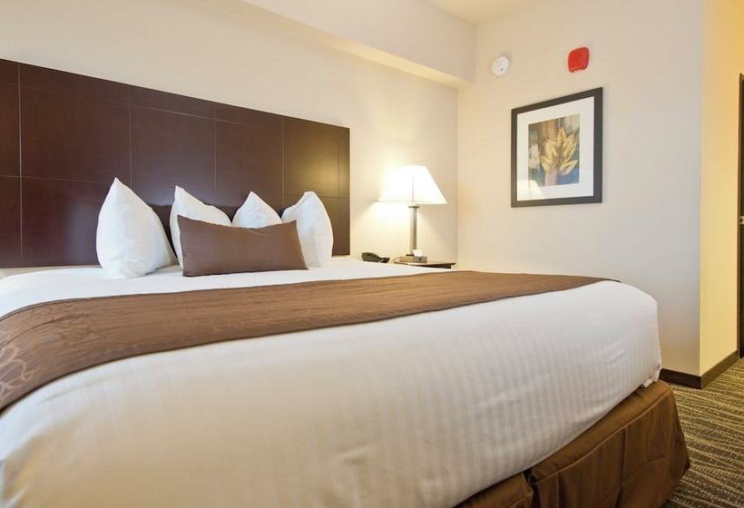 فندق Cobblestone Inn & Suites  Boone