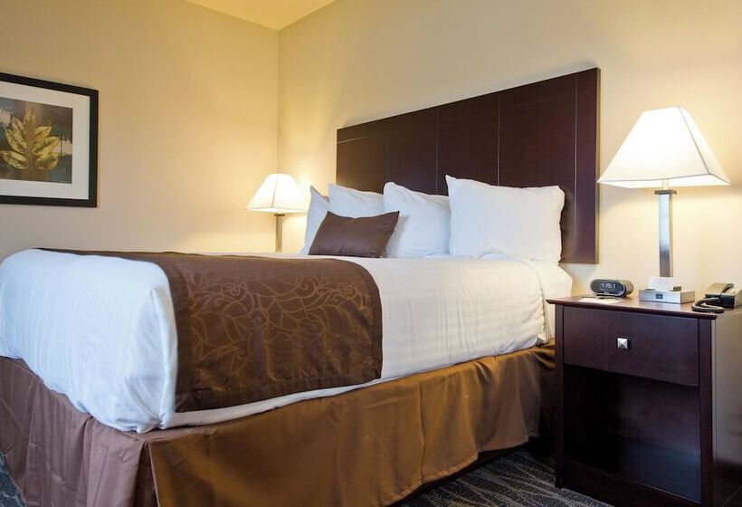 فندق Cobblestone Inn & Suites  Boone